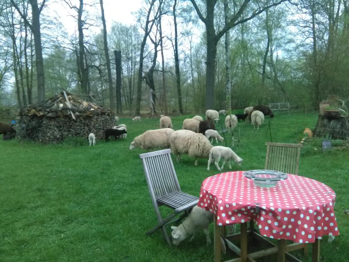Ferienhof "Zum Spreewaeldchen" Burg  Exterior foto
